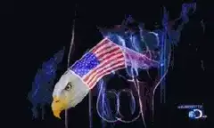 Eagle head with US flag and neon smoke