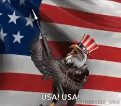 Patriotic Eagle with Gun USA
