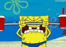 SpongeBob lifting soda cups