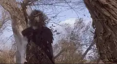 Yeti climbing a tree