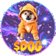 Shiba Inu in hoodie floating in space