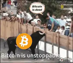 Bitcoin bull unstoppable