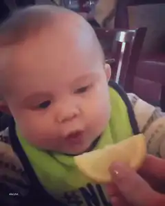 Baby reacts to sour lemon