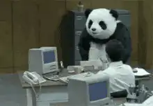 Panda mascot knocks over computer in office