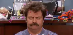 Ron Swanson surrounded by kids and chaos