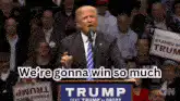 Donald Trump We're Gonna Win So Much GIF