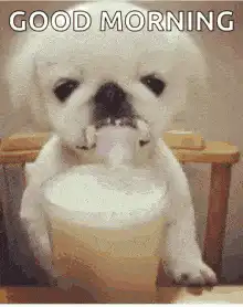 Good Morning Dog Licking Cup