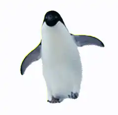 Dancing Emperor Penguin