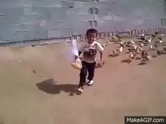Boy running from chickens