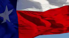 Texas flag waving in the wind