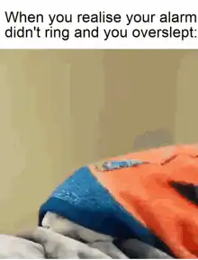 Cat realizes alarm didn't ring
