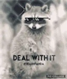 Deal With It Raccoon