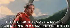 Harry Potter Keeper Quidditch