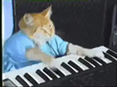orange cat playing keyboard