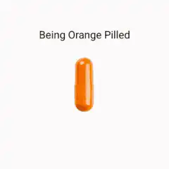 Drake Being Orange Pilled Hex Orange Address