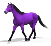 Purple horse walking