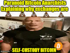 Paranoid Bitcoin Anarchists Explaining Self-Custody