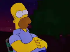 Homer Simpson sitting in a chair at night