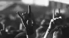 crowd hands making rock on sign