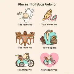 Pusheen places that dogs belong