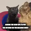 Black Cat Asking New CPA About Bitcoin