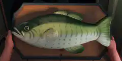 Fish mounted on a plaque