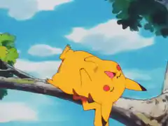 Pikachu sleeping on a tree branch