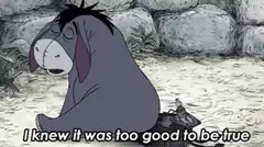 Eeyore sad realization