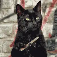 Black cat holding a spoon