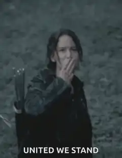 Katniss Everdeen United We Stand