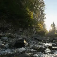 Sunlight over rocky forest stream