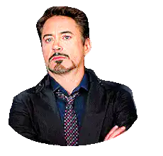 Robert Downey Jr. smirking