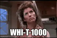 Sarah Connor Wh-T-1000
