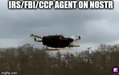 Ostrich Drone Flying