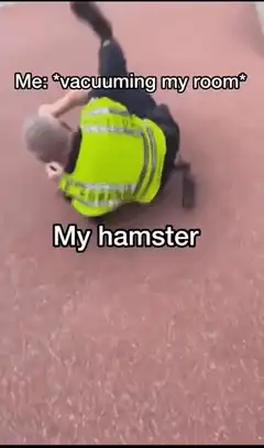 Me vacuuming my room My hamster