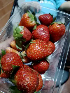 Fresh strawberries in a plastic container