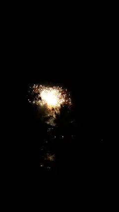 Fireworks exploding over water
