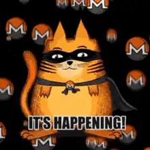 Meme Cat It's Happening