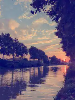 sunset over a calm river with trees