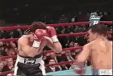 Boxer gets knocked out in the ring