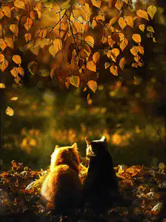 Two cats sitting under autumn leaves