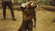 Rocket Raccoon dancing with a gun