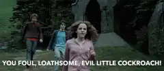 Hermione throws a cockroach at Draco