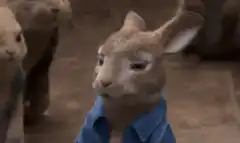 Peter Rabbit looks around