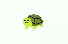 Turtle zooms into space