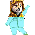 Doge in blue suit dancing
