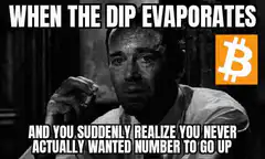 When the dip evaporates Bitcoin meme