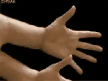 Hand morphing into cat paws