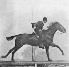 Man riding a horse in black and white