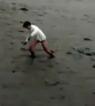 man crawling on beach